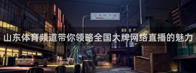 山东体育频道带你领略全国大牌网络直播的魅力