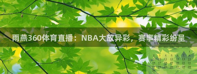 雨燕360体育直播：NBA大放异彩，赛事精彩纷呈
