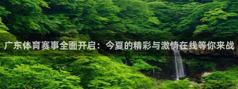 广东体育赛事全面开启：今夏的精彩与激情在线等你来战