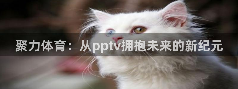 聚力体育：从pptv拥抱未来的新纪元