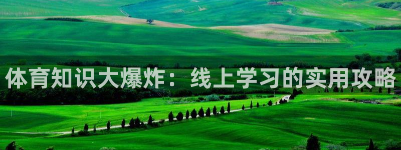 体育知识大爆炸：线上学习的实用攻略