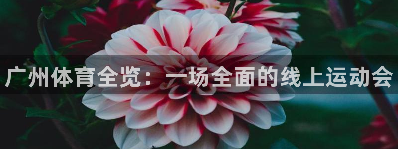 广州体育全览：一场全面的线上运动会