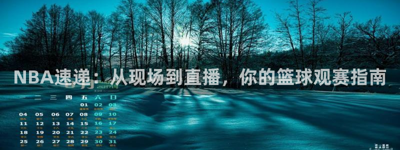 NBA速递：从现场到直播，你的篮球观赛指南