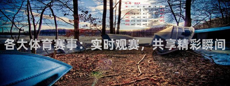 各大体育赛事：实时观赛，共享精彩瞬间