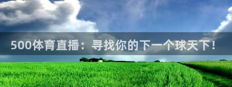 500体育直播：寻找你的下一个球天下！