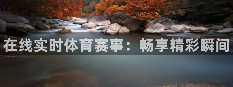 在线实时体育赛事：畅享精彩瞬间