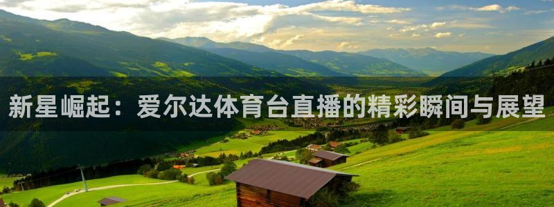 新星崛起：爱尔达体育台直播的精彩瞬间与展望