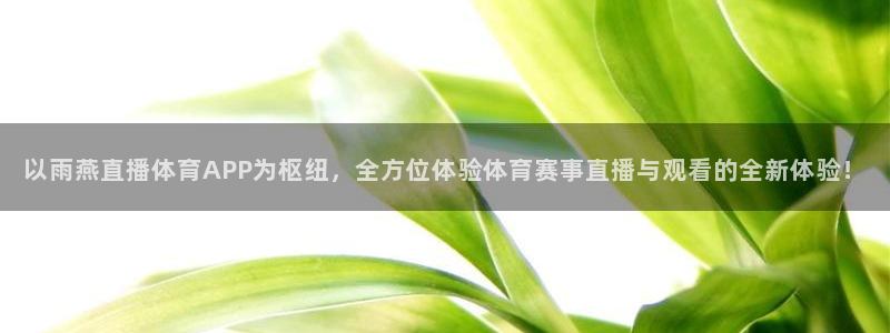 以雨燕直播体育APP为枢纽，全方位体验体育赛事直播与观看的全新体验！