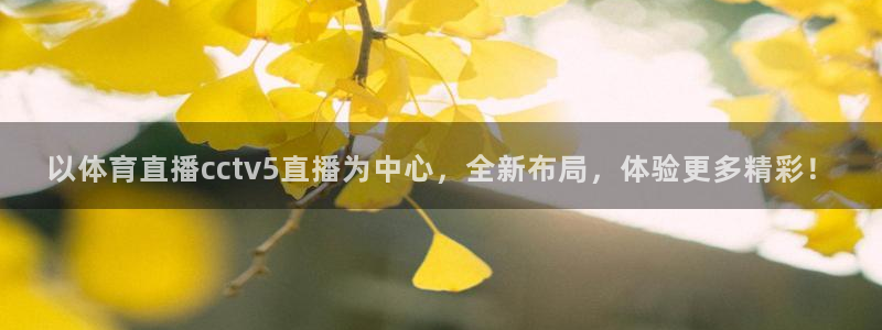 以体育直播cctv5直播为中心，全新布局，体验更多精彩！