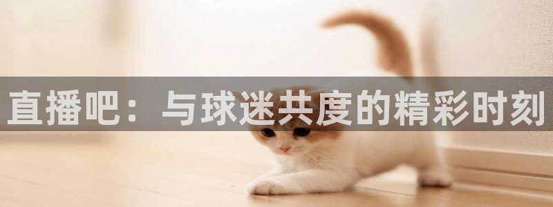 直播吧：与球迷共度的精彩时刻