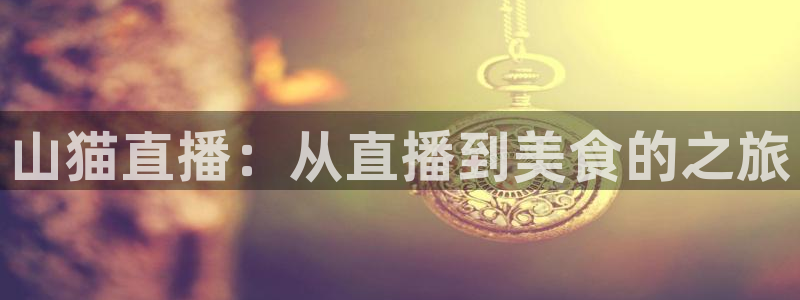 山猫直播：从直播到美食的之旅