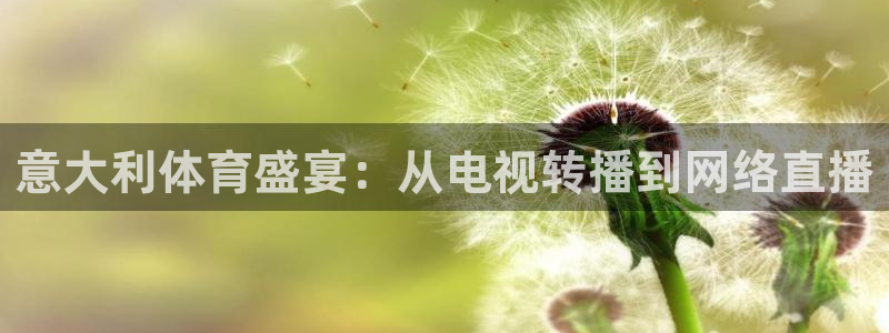 意大利体育盛宴：从电视转播到网络直播
