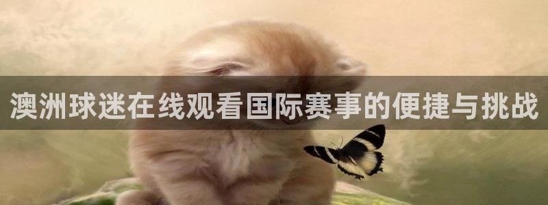 澳洲球迷在线观看国际赛事的便捷与挑战