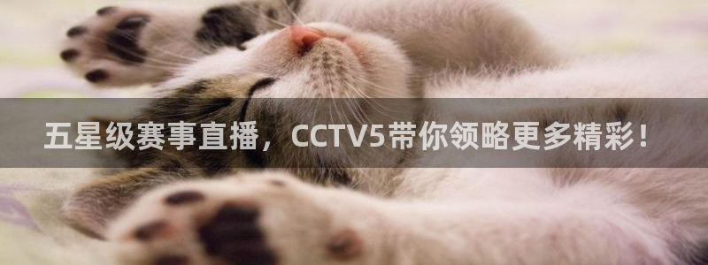 五星级赛事直播，CCTV5带你领略更多精彩！