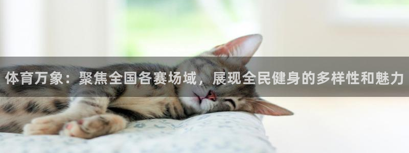 体育万象：聚焦全国各赛场域，展现全民健身的多样性和魅力