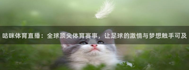 咕咪体育直播：全球顶尖体育赛事，让足球的激情与梦想触手可及