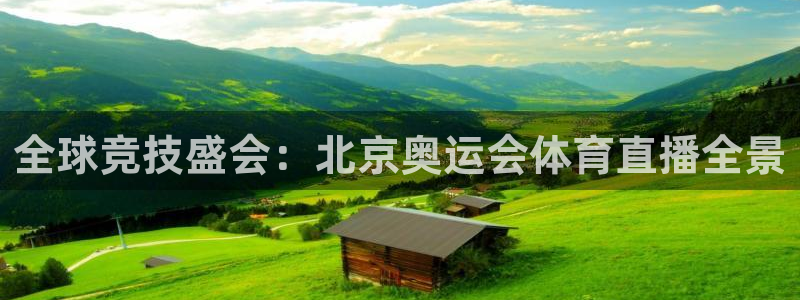 全球竞技盛会：北京奥运会体育直播全景