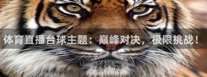 体育直播台球主题：巅峰对决，极限挑战！
