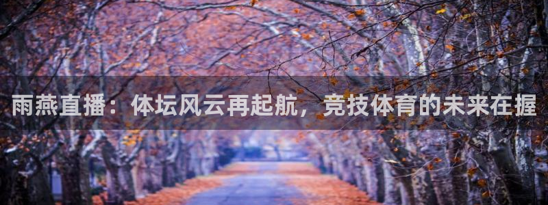 雨燕直播：体坛风云再起航，竞技体育的未来在握