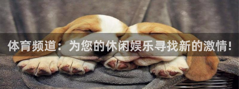 体育频道：为您的休闲娱乐寻找新的激情!