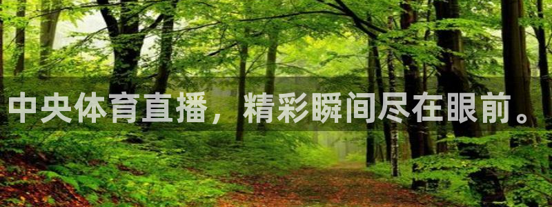 中央体育直播，精彩瞬间尽在眼前。