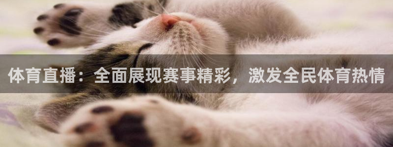 体育直播：全面展现赛事精彩，激发全民体育热情