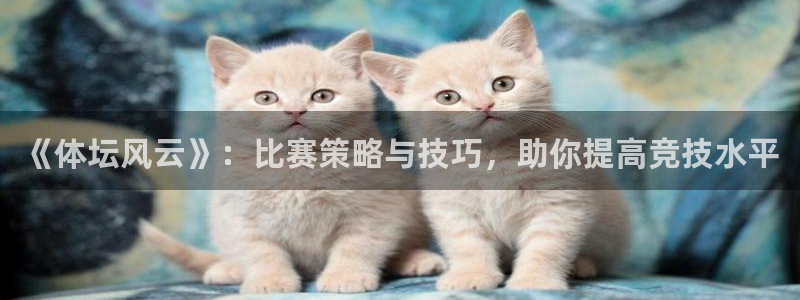 《体坛风云》：比赛策略与技巧，助你提高竞技水平