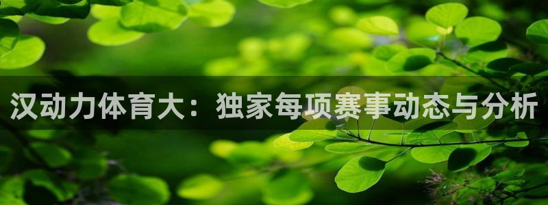 汉动力体育大：独家每项赛事动态与分析