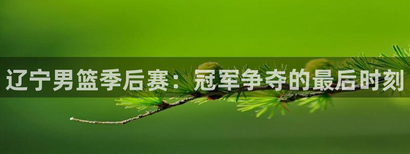 辽宁男篮季后赛：冠军争夺的最后时刻