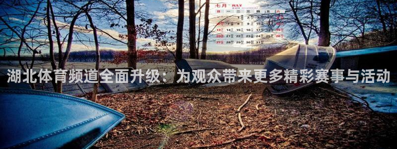 湖北体育频道全面升级：为观众带来更多精彩赛事与活动